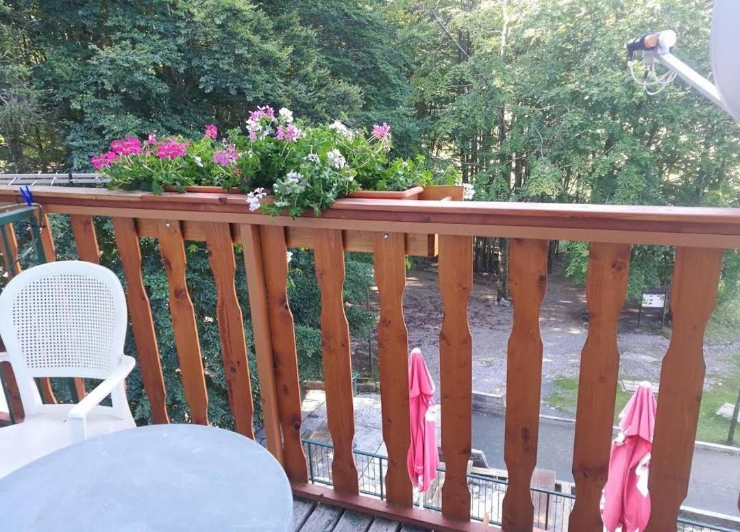 Great Mountain B&B Platak Kültér fotó